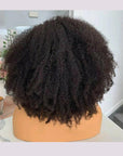 HD Lace 4B 4C Afro Kinky Coily Human Hair Lace Frontal Wigs/4x4 Coily Lace Closure Wigs